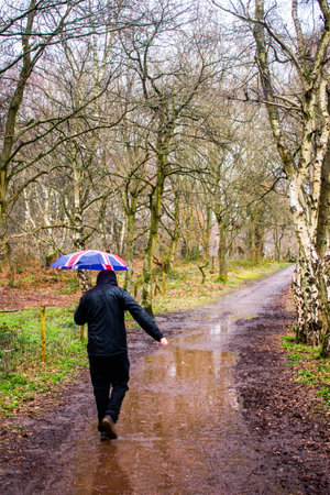 A man walikng through a forest with an umbrella, on a rainy and muddy dayの写真素材