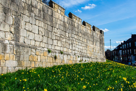 The walled city of York, with a blue sky, with daffodilsのeditorial素材