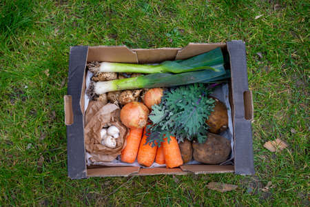 Assorted organic vegetables in vege box.の写真素材