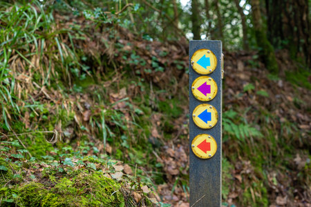 Helpful coloured arrows on directional route sign post on woodland hiking and cycling trail in...