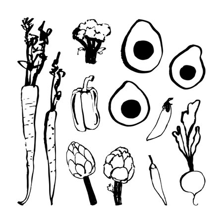 Vegetables collection, farming organic veggies isolated on white. Carrot, avocado, broccoli, bell pepper, artichoke, radish, peas. Vector illustration of fresh vegetable harvest.のイラスト素材