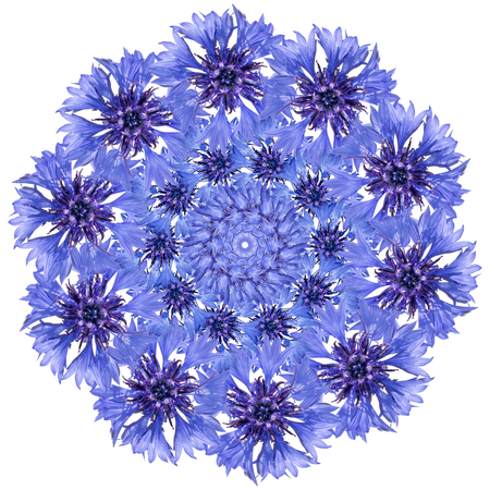 Flower mandala. Cornflower blue floral circular designの写真素材