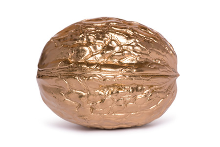 Golden walnut isolated on white background. Hand painted nut.の写真素材