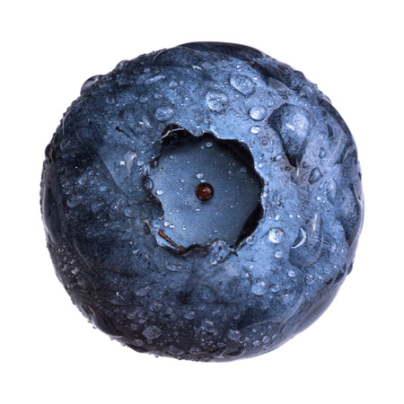 Fresh blueberry with water drops isolated on white background.の写真素材
