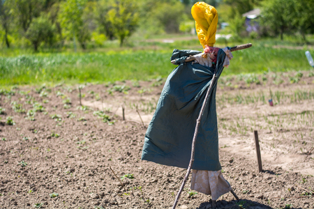 Homemade scarecrow in the garden. Garden attributeの写真素材