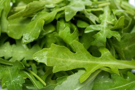 Closeup leaves of fresh arugula rucola salatの写真素材
