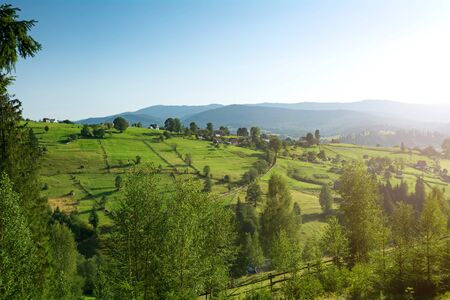 Village in the mountains. Sunny day in the Ukrainian Carpathians.の写真素材