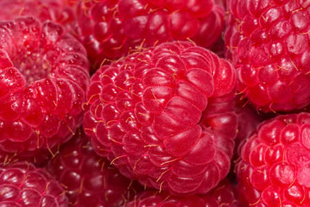 Fresh ripe raspberries closeup. Berry background