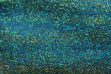 Abstract texture of a turquoise multicolor leather as a background for designの写真素材