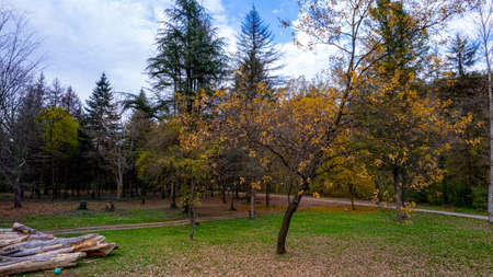 Kailaka Parkの写真素材