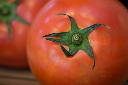 Ripe tomato with green stemの写真素材