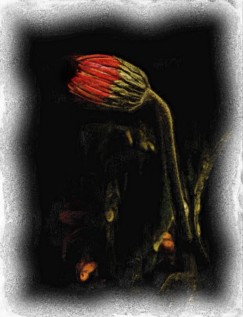 Red flower bud with paint effectの写真素材