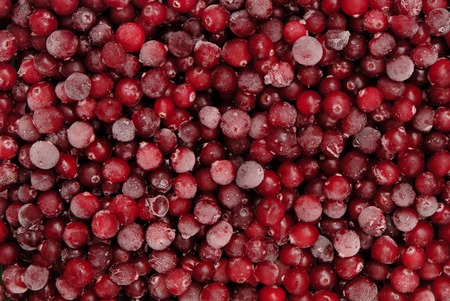 frozen cranberryの写真素材
