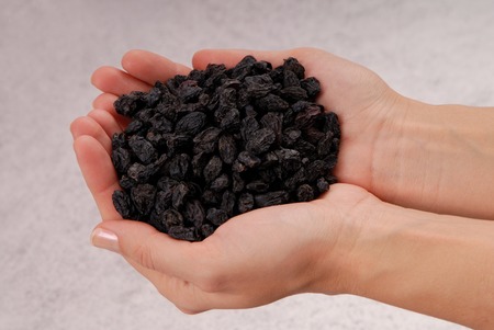 black sweet raisin, a fistful of dried fruits is in female hands,の写真素材