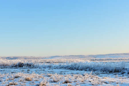 Rural winter landscape, clear blue sky, forests, fields, grass covered with frost in sunny day....