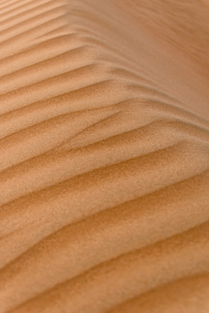 Sand Dunes with Wind Blown Pattern, Wahabi Sands, Omanの写真素材