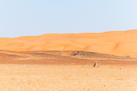 Sand Dunes with Wind Blown Pattern, Wahabi Sands, Omanの写真素材
