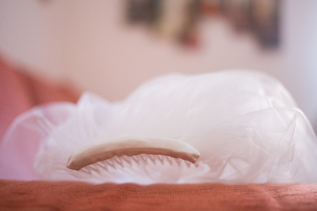 Detail of wedding bride's white veil, with accessoriesの写真素材