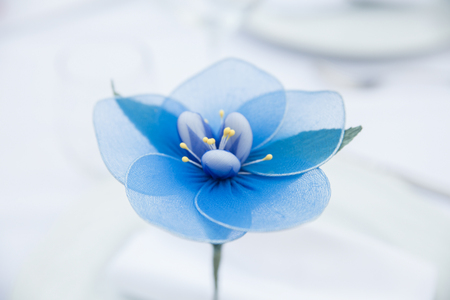 Detail of a food banquetの写真素材