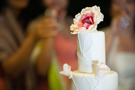 Detail of a food banquetの写真素材