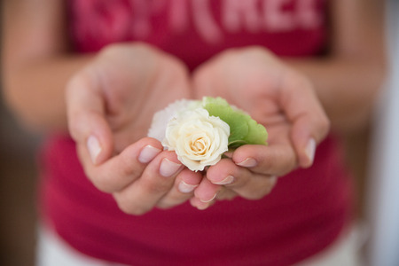 Hands detail with white roseの写真素材
