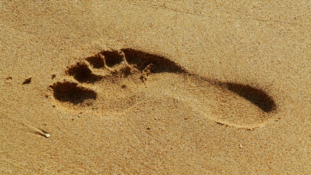 Sand Footprintの写真素材
