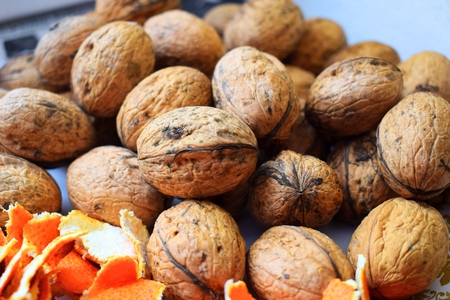 Walnuts and orange peelの写真素材