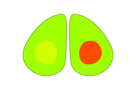 Vector illustration of an open avocado with seed. Two halves of avocado reminiscent of eyes or plumesのイラスト素材