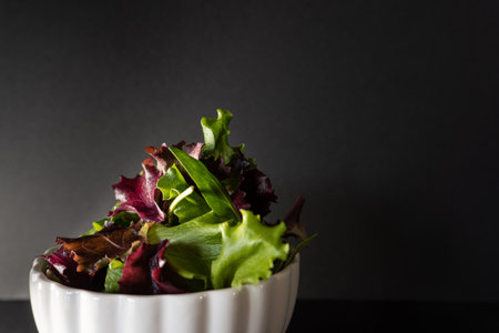 DETAIL OF A WHITE BOWL WITH DIFFERENT TYPES OF LETTUCE LEAVES ON A BLACK BACKGROUNDの写真素材
