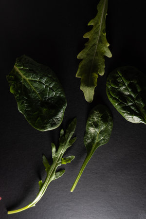 ARUGULA AND CANON LEAVES ON A BLACK BACKGROUNDの写真素材