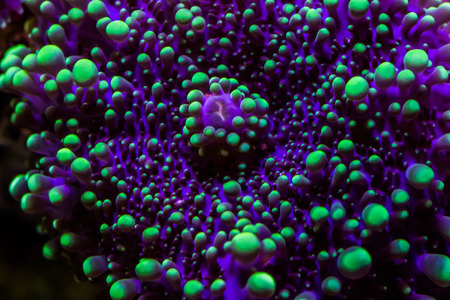 Ricordeaの写真素材