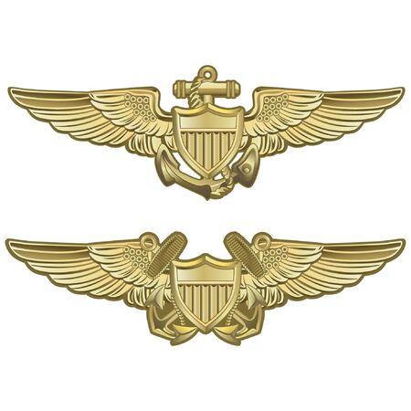 Naval Aviator Wingsの素材 [FY310147312873] | ストックフォトの