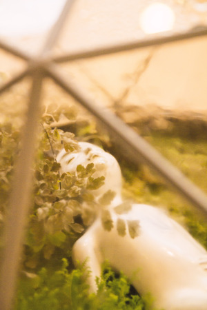 Art in the conservatory.の写真素材