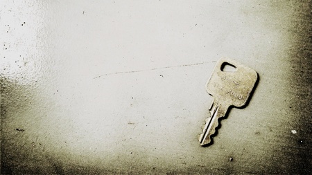 The key in overlay tone.Used vintage filter.
