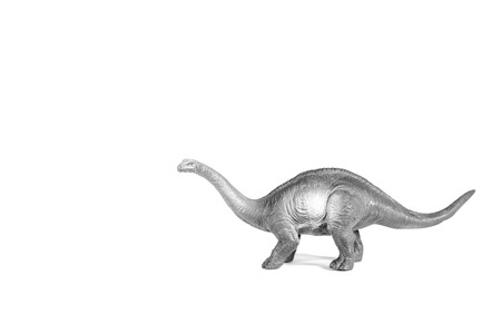 Sauropod walking on the white background.の写真素材