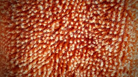 Close up towel