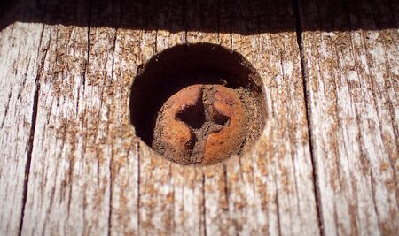 Rusty bolt in wooden planksの写真素材