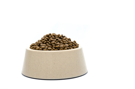 Dog food isolated on whiteの写真素材