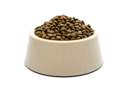 Dog food isolated on whiteの写真素材