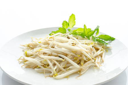 stir fry bean sprout on white plateの写真素材