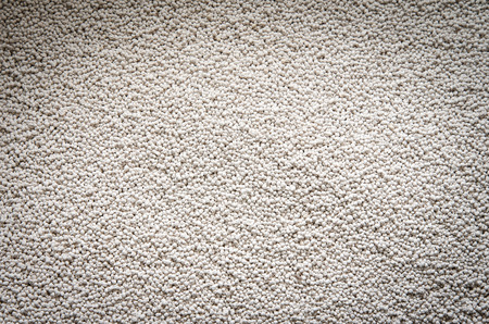  Sandy beach texture. Copy spaceの写真素材