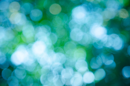 natural background of out of focus forest or bokehの写真素材