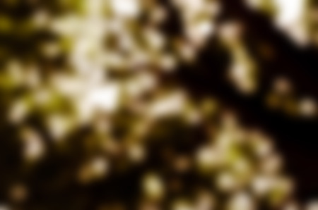 Abstract nature blur background with copy spaceの写真素材