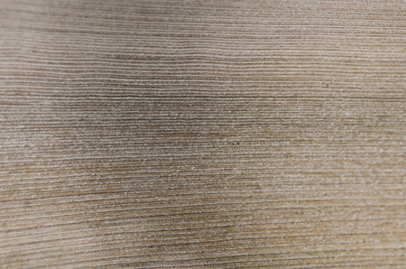Close up of  old bark for background