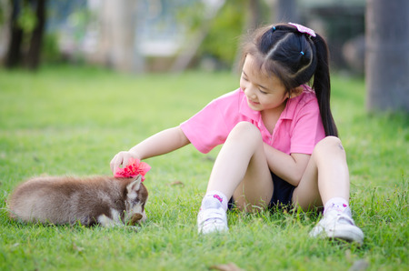 Beautiful asian girl playing on green grass with a siberian husky puppyの写真素材