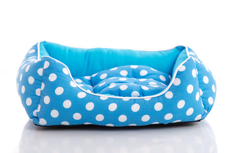 Blue pet bed on white background isolatedの写真素材