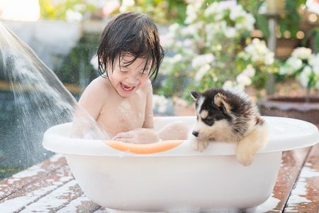 Cute asian  child bathing with siberian husky puppy in the garden on a hot sunny summer dayの写真素材