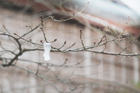 Fortune paper tied on the tree in japanese shrineの写真素材