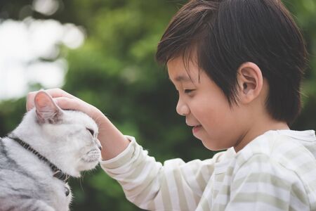 Cute Asian child playing with british cat in the park outdoor