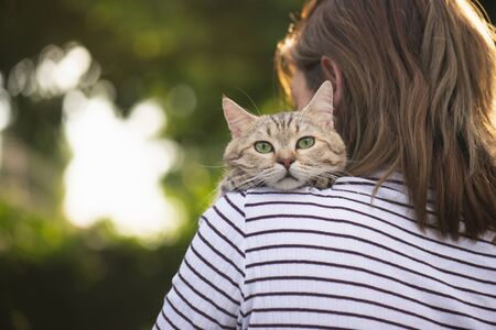 Asian woman holding her cat in the light of sunsetの写真素材